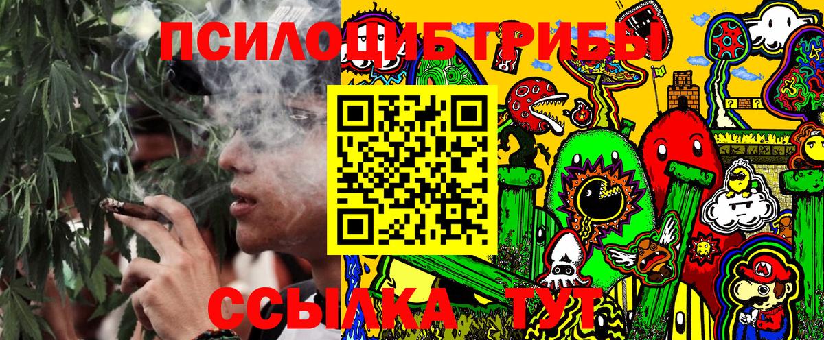 Псилоцибиновые грибы мицелий Кузнецк