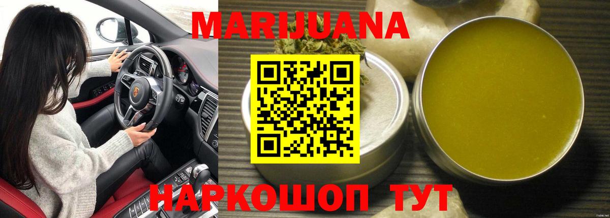 Марихуана сатива Кузнецк